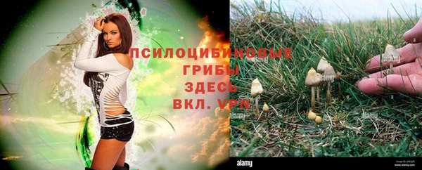 a pvp Белоозёрский